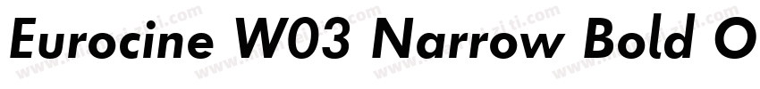 Eurocine W03 Narrow Bold Obl字体转换